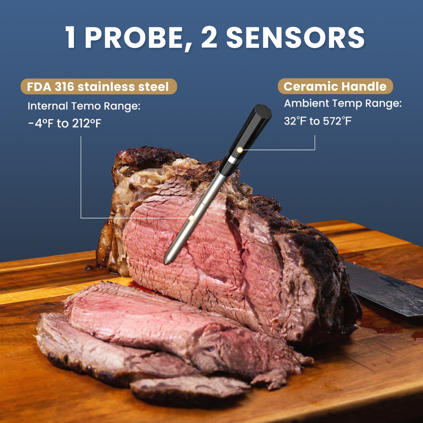 iDiAk CP10 New Gen Wireless Meat Thermometer for Grilling and Smoking-Blue